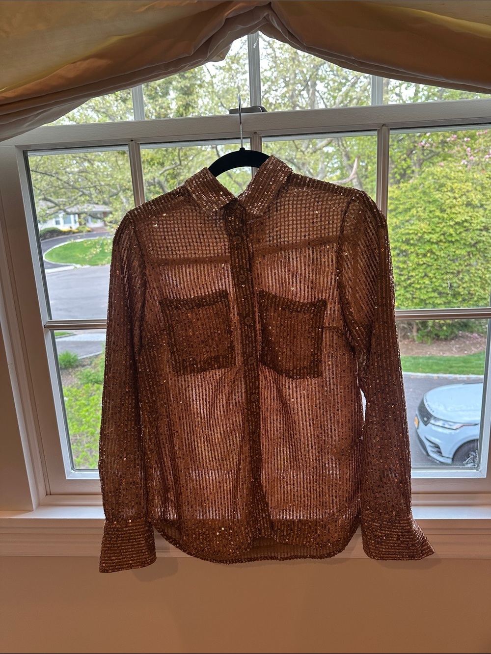 Anthropologie Bronze Sequin Sheer Button-Down Shirt